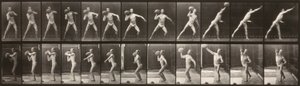 Djurens rörelse (plansch 319) (Man som kastar en boll) av Eadweard Muybridge
