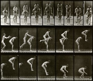 Djurens förflyttning av Eadweard Muybridge