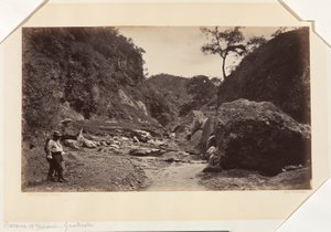 Barranca of Ynsiensi, Guatemala av Eadweard Muybridge