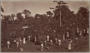  av Eadweard Muybridge