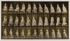 Nedför trappor och vändning, från boken Animal Locomotion av Eadweard Muybridge