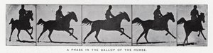 Eadweard Muybridge: En fas i hästens galopp (s/v foto) av Eadweard Muybridge