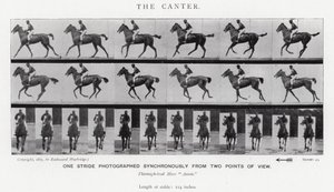 Eadweard Muybridge: The Canter (s/v foto) av Eadweard Muybridge