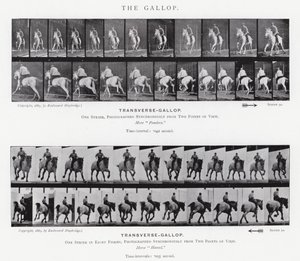 Eadweard Muybridge: The Gallop (s/v foto) av Eadweard Muybridge