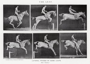 Eadweard Muybridge: The Leap (s/v foto) av Eadweard Muybridge