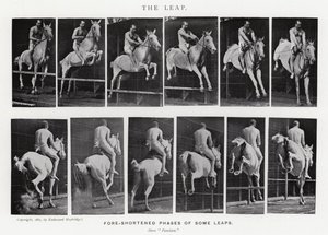 Eadweard Muybridge: The Leap (s/v foto) av Eadweard Muybridge