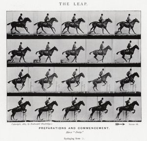 Eadweard Muybridge: The Leap (s/v foto) av Eadweard Muybridge