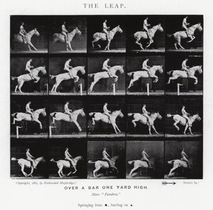 Eadweard Muybridge: The Leap (s/v foto) av Eadweard Muybridge