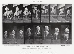 Eadweard Muybridge: The Leap (s/v foto) av Eadweard Muybridge