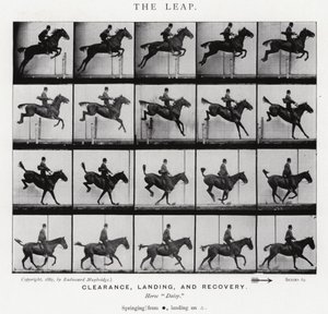 Eadweard Muybridge: The Leap (s/v foto) av Eadweard Muybridge