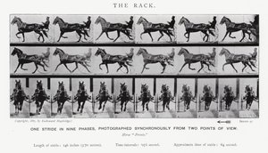 Eadweard Muybridge: The Rack (s/v foto) av Eadweard Muybridge