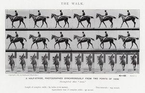 Eadweard Muybridge: The Walk (s/v foto) av Eadweard Muybridge
