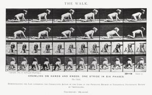 Eadweard Muybridge: The Walk (s/v foto) av Eadweard Muybridge