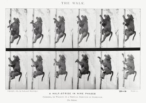Eadweard Muybridge: The Walk (s/v foto) av Eadweard Muybridge
