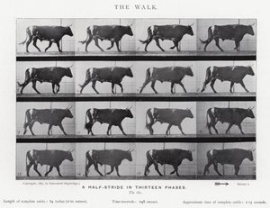 Eadweard Muybridge: The Walk (s/v foto) av Eadweard Muybridge