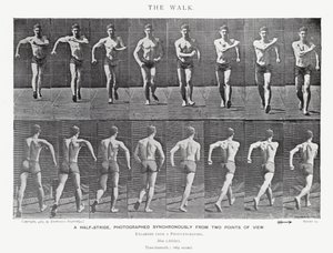 Eadweard Muybridge: The Walk (s/v foto) av Eadweard Muybridge