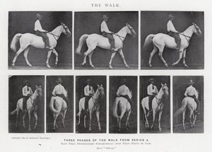 Eadweard Muybridge: The Walk (s/v foto) av Eadweard Muybridge