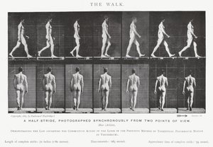 Eadweard Muybridge: The Walk (s/v foto) av Eadweard Muybridge