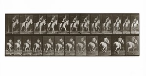 Galopperande häst med ryttare, skylt 635 från Animal Locomotion, 1887 av Eadweard Muybridge