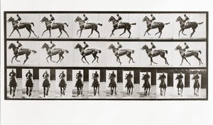 Häst och ryttare, skylt 621 från Animal Locomotion, 1887 av Eadweard Muybridge