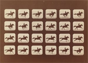 Hästar. Löpning. Phyrne L. nr 40 av Eadweard Muybridge
