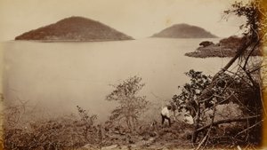 Perico och Flamenco - från ön Naos, Panama av Eadweard Muybridge