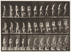 Plåt 102. Svängande och uppåtgående trappor, hinkvatten i Rt Hand, 1872-1885 av Eadweard Muybridge