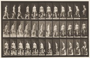 Tavla 104. Vändande och uppåtgående trappor, hinkvatten i varje hand, 1872-1885 av Eadweard Muybridge