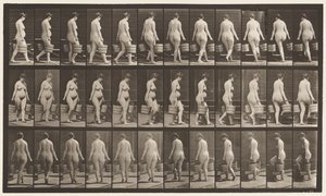 Tavla 106. Att vända sig för att gå uppför trappor, en hink med vatten i varje hand, 1872-1885 av Eadweard Muybridge