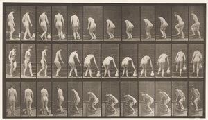 Tavla 108. Att vända sig för att gå uppför trappor, luta sig, lyfta en kanna, 1872-1885 av Eadweard Muybridge