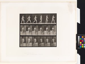 Tavla 10.Gå av Eadweard Muybridge