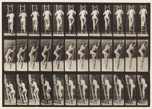 Tavla 112. Stigande stege av Eadweard Muybridge