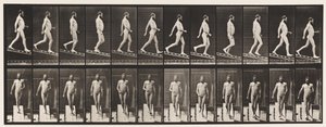 Plåt 113. Descending Incline, 1 på 4, 1872-1885 av Eadweard Muybridge