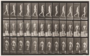 Plåt 114. Nedåtgående lutning, vinkel 1 på 4, 1872-1885 av Eadweard Muybridge