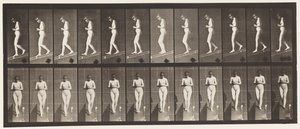 Plåt 115. Nedåtgående lutning med händerna knäppta fram av Eadweard Muybridge