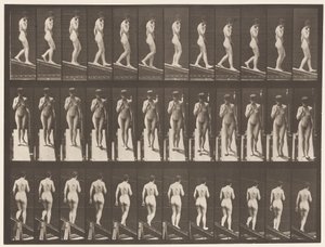 Tallrik 116. Nedåtgående lutning, en hand på hakan av Eadweard Muybridge