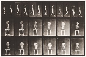 Plåt 118. Nedåtgående lutning av Eadweard Muybridge