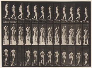 Skylt 119. Nedåtgående lutning, höger hand på bröstet (skor) av Eadweard Muybridge