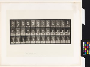 Plåt 11.Gå av Eadweard Muybridge