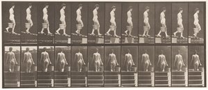 Plåt 120. Nedåtgående lutning, hink med vatten i höger hand, 1872-1885 av Eadweard Muybridge