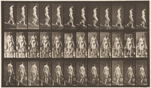 Tavla 121. Nedåtgående lutning, en hink med vatten i varje hand av Eadweard Muybridge