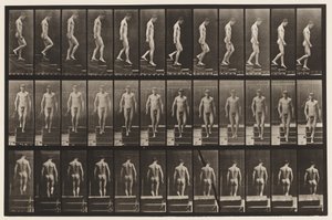 Tavla 125. Nedgående trappa av Eadweard Muybridge