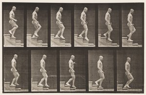Tavla 126. Nedgående trappa av Eadweard Muybridge