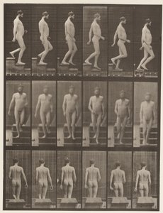 Tavla 127. Nedstigande trappor, 1872-1885 av Eadweard Muybridge