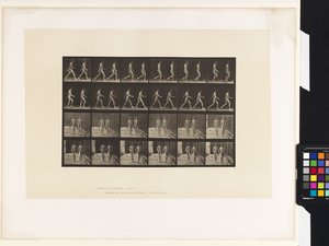 Plåt 12.Gå av Eadweard Muybridge