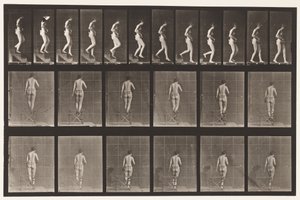 Tavla 130. Nedåtgående trappor, händerna knäppta, 1872-1885 av Eadweard Muybridge