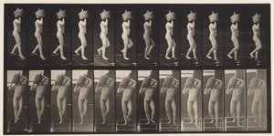 Tavla 136. Demijohn full Demijohn on Shoulder, 1872-1885. av Eadweard Muybridge