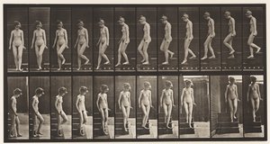 Tavla 137. Nedgående trappor, vänder sig om av Eadweard Muybridge