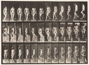 Tavla 138. Nedåtgående trappa Vändning; Kanna i vänster hand av Eadweard Muybridge