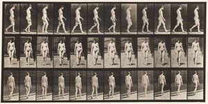 Plansch 13. Vandring, 1872-1885 av Eadweard Muybridge